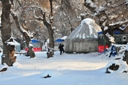 Clearing the yurt tono