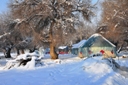 Yurts along the creek